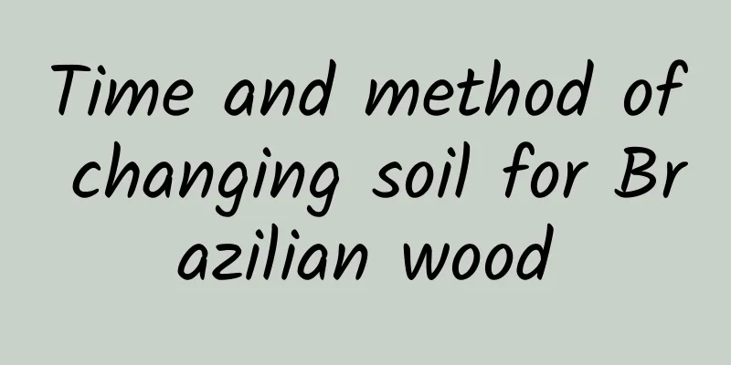 Time and method of changing soil for Brazilian wood
