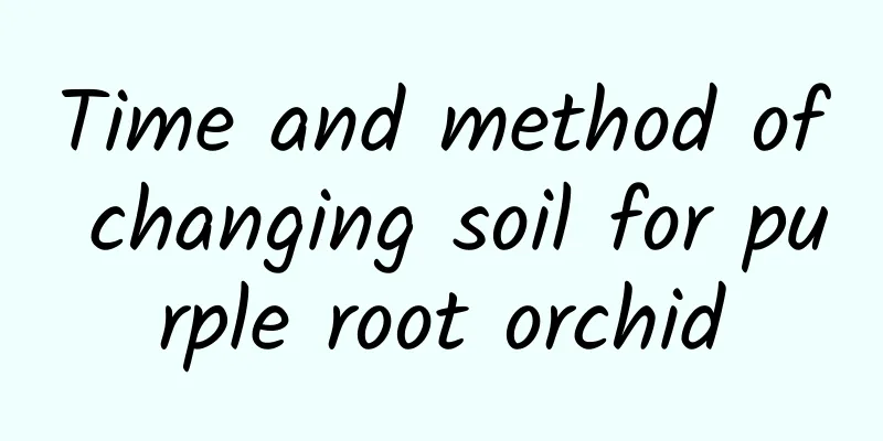 Time and method of changing soil for purple root orchid