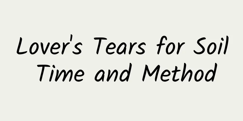 Lover's Tears for Soil Time and Method