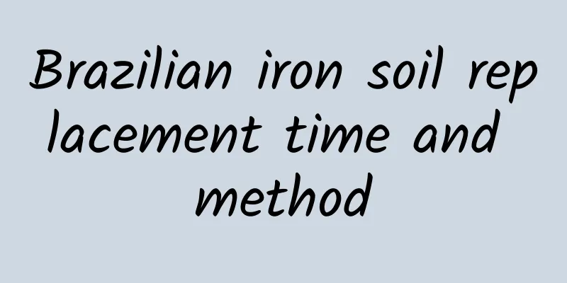 Brazilian iron soil replacement time and method