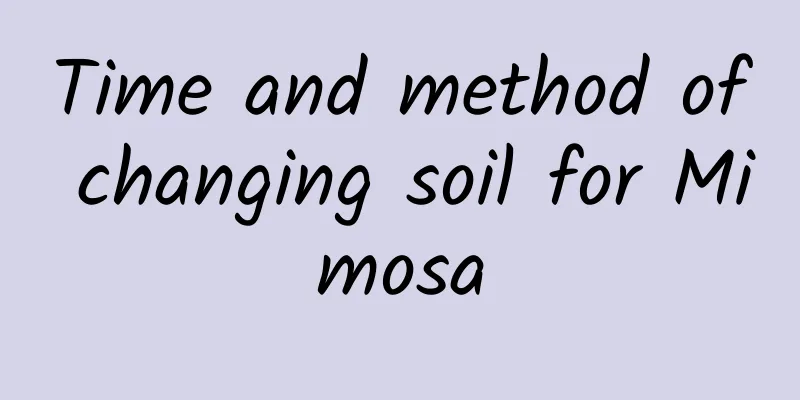 Time and method of changing soil for Mimosa