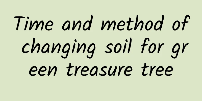 Time and method of changing soil for green treasure tree