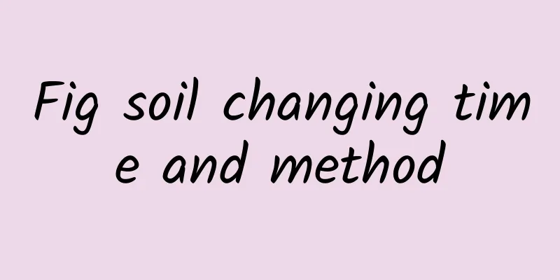 Fig soil changing time and method