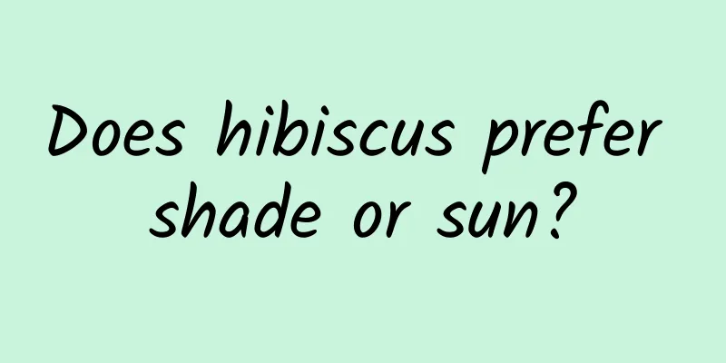 Does hibiscus prefer shade or sun?