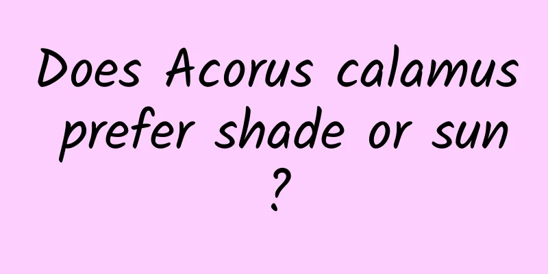Does Acorus calamus prefer shade or sun?