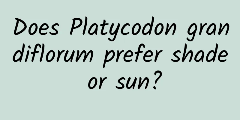 Does Platycodon grandiflorum prefer shade or sun?