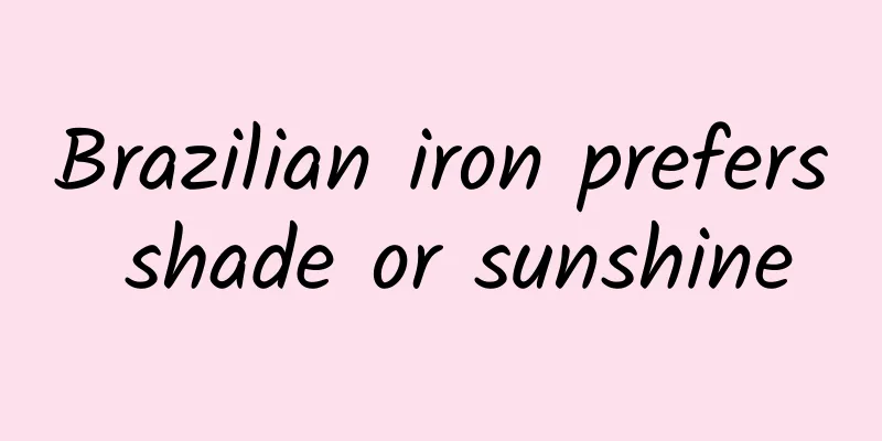 Brazilian iron prefers shade or sunshine