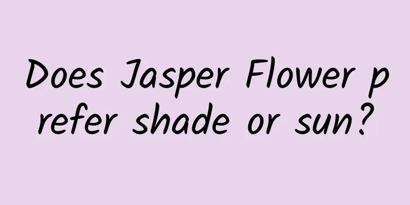 Does Jasper Flower prefer shade or sun?