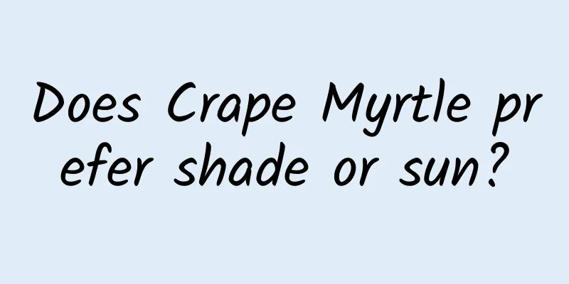 Does Crape Myrtle prefer shade or sun?
