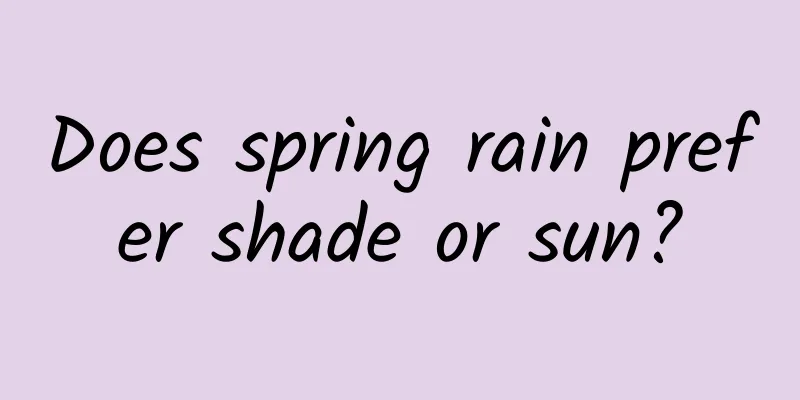 Does spring rain prefer shade or sun?