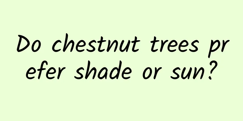 Do chestnut trees prefer shade or sun?