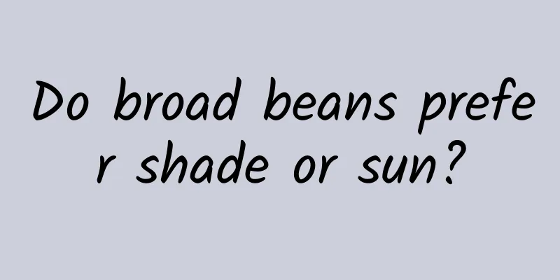 Do broad beans prefer shade or sun?
