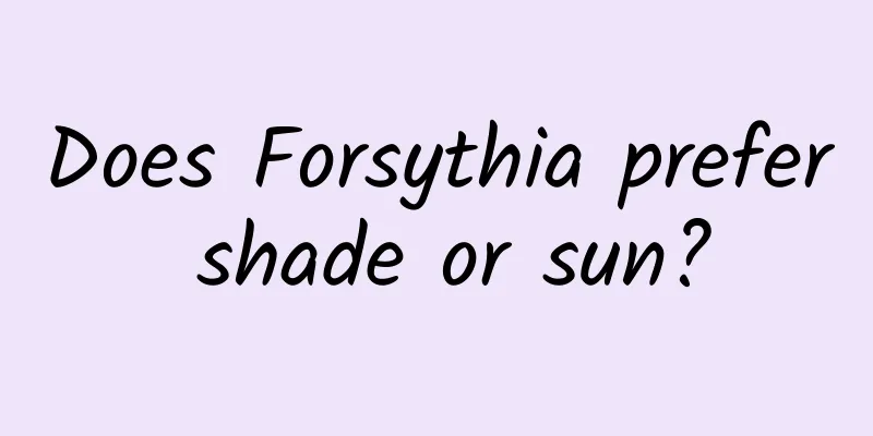Does Forsythia prefer shade or sun?