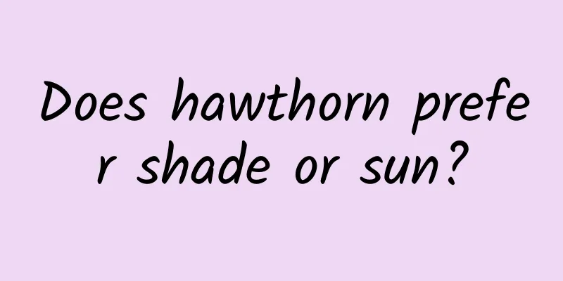 Does hawthorn prefer shade or sun?