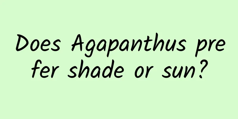 Does Agapanthus prefer shade or sun?