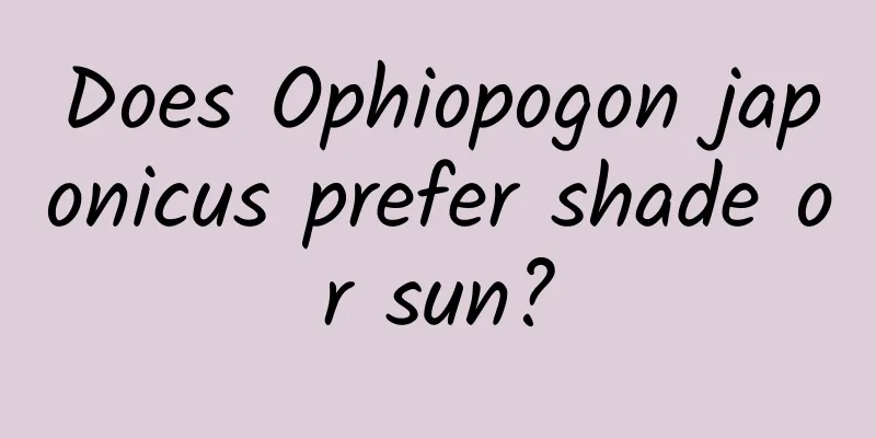 Does Ophiopogon japonicus prefer shade or sun?