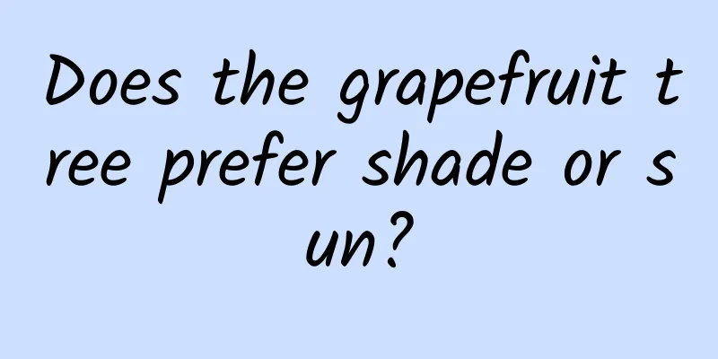 Does the grapefruit tree prefer shade or sun?