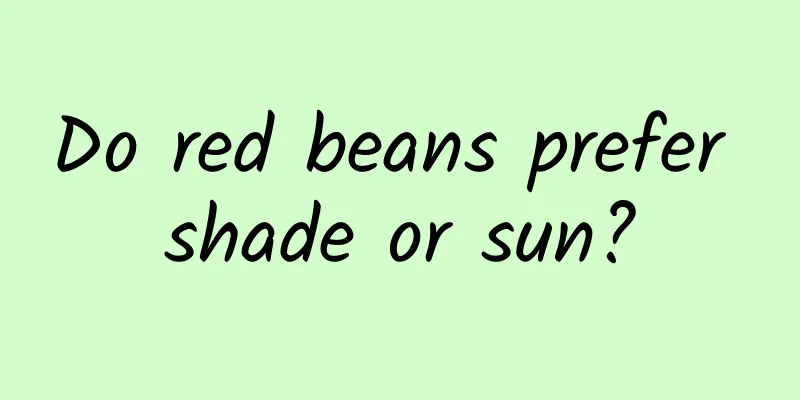 Do red beans prefer shade or sun?