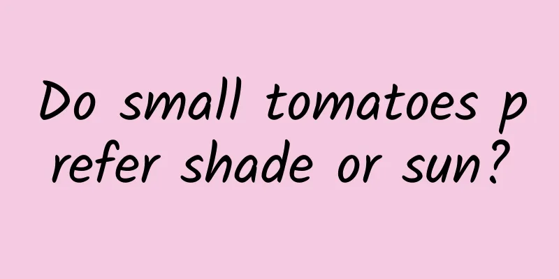 Do small tomatoes prefer shade or sun?