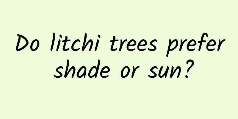 Do litchi trees prefer shade or sun?