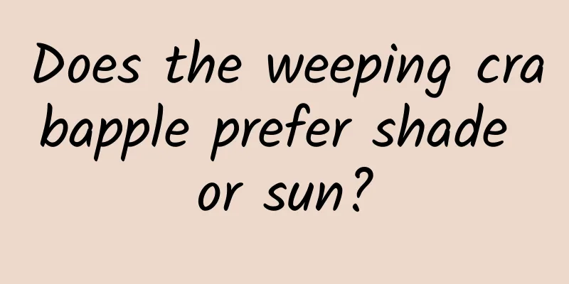 Does the weeping crabapple prefer shade or sun?