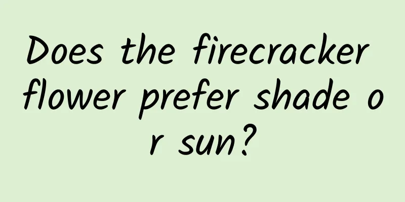 Does the firecracker flower prefer shade or sun?