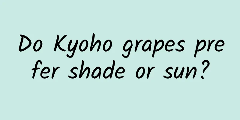 Do Kyoho grapes prefer shade or sun?