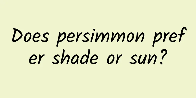 Does persimmon prefer shade or sun?