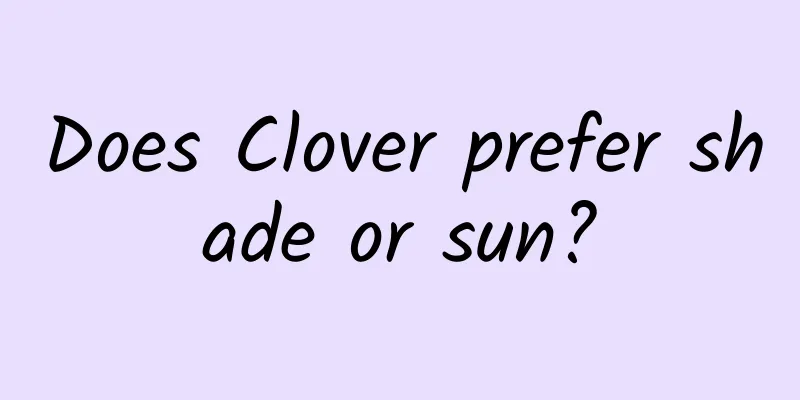 Does Clover prefer shade or sun?