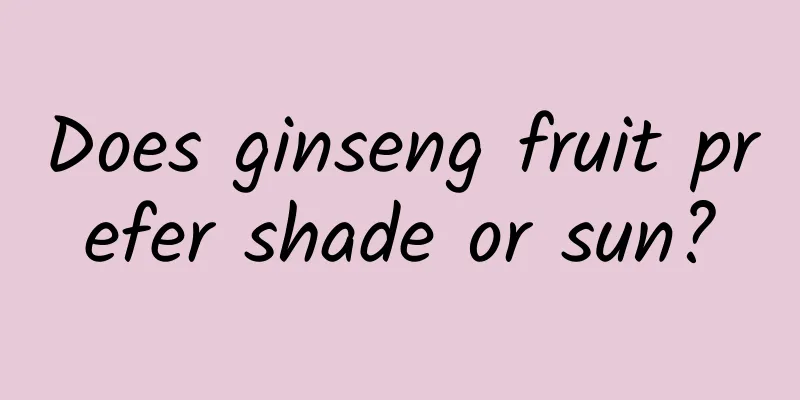 Does ginseng fruit prefer shade or sun?