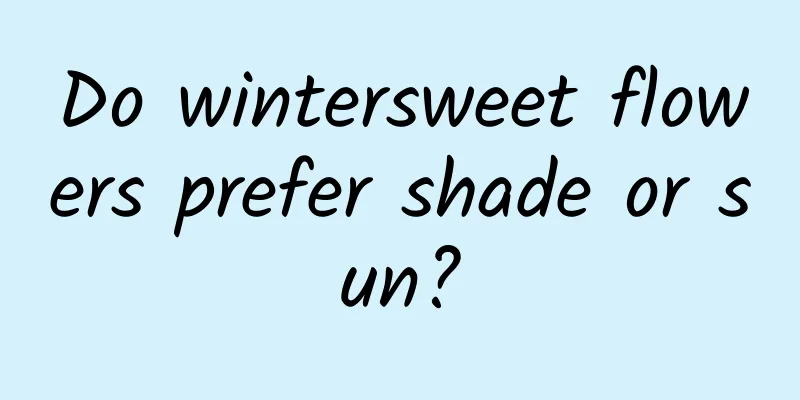 Do wintersweet flowers prefer shade or sun?