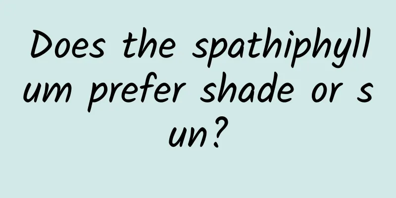 Does the spathiphyllum prefer shade or sun?