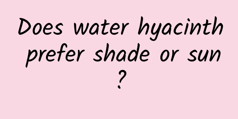 Does water hyacinth prefer shade or sun?