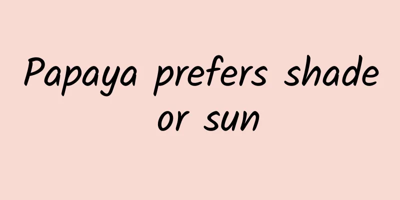 Papaya prefers shade or sun