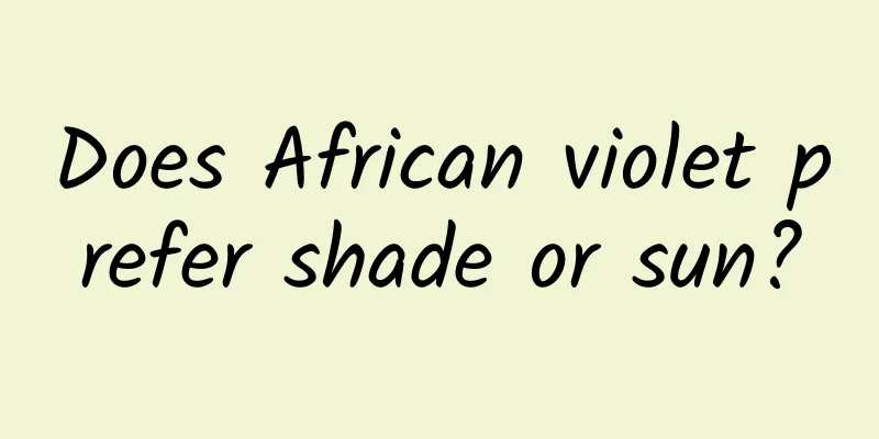Does African violet prefer shade or sun?