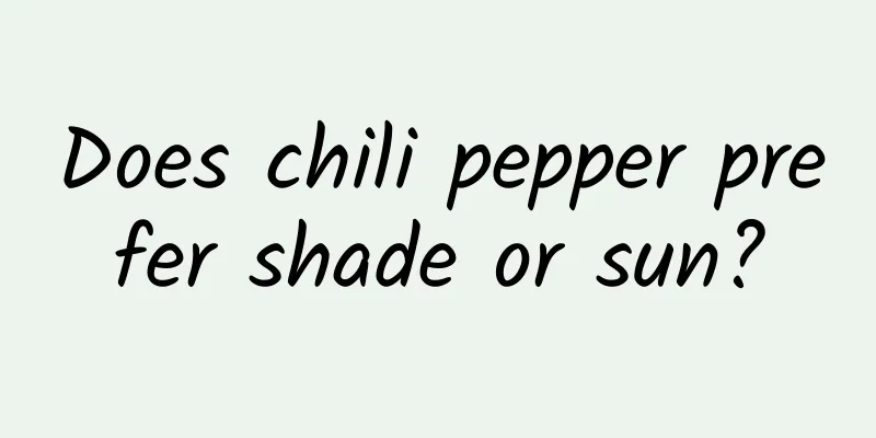 Does chili pepper prefer shade or sun?