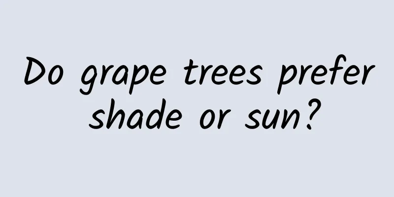 Do grape trees prefer shade or sun?