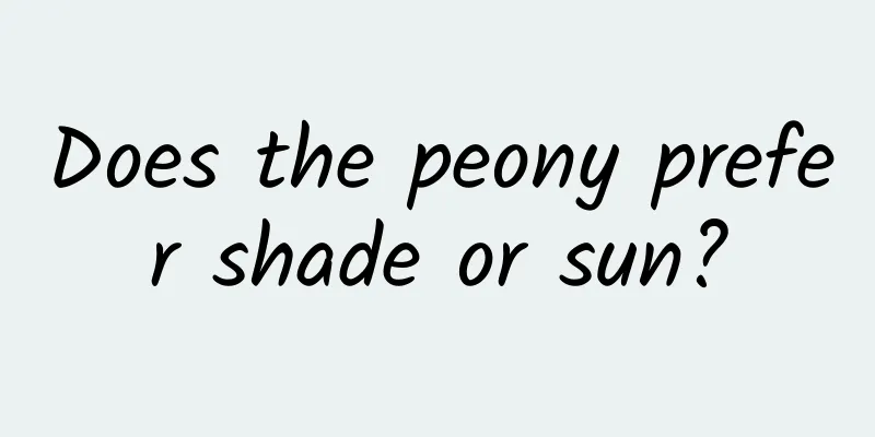Does the peony prefer shade or sun?