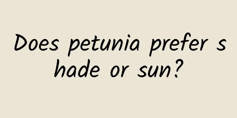 Does petunia prefer shade or sun?