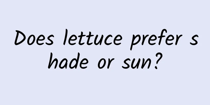 Does lettuce prefer shade or sun?