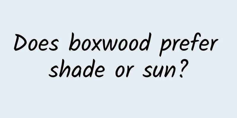 Does boxwood prefer shade or sun?