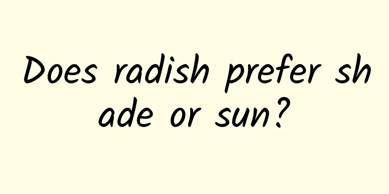 Does radish prefer shade or sun?