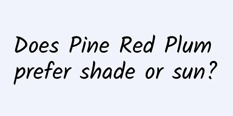 Does Pine Red Plum prefer shade or sun?