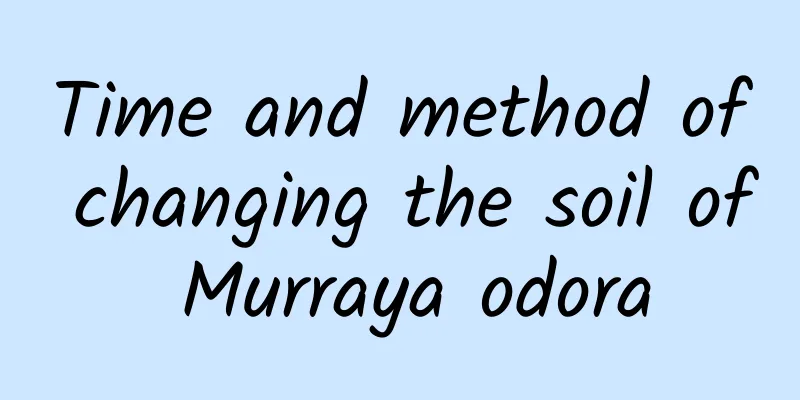 Time and method of changing the soil of Murraya odora