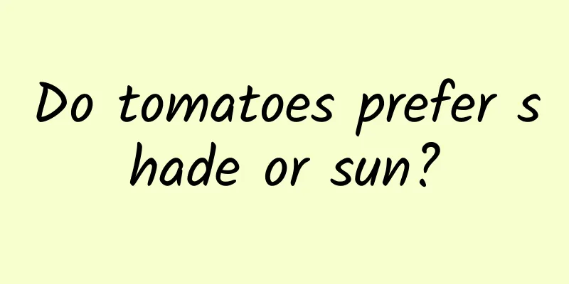 Do tomatoes prefer shade or sun?