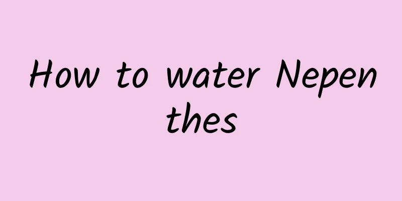How to water Nepenthes