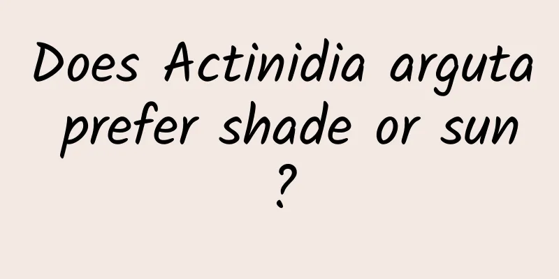 Does Actinidia arguta prefer shade or sun?