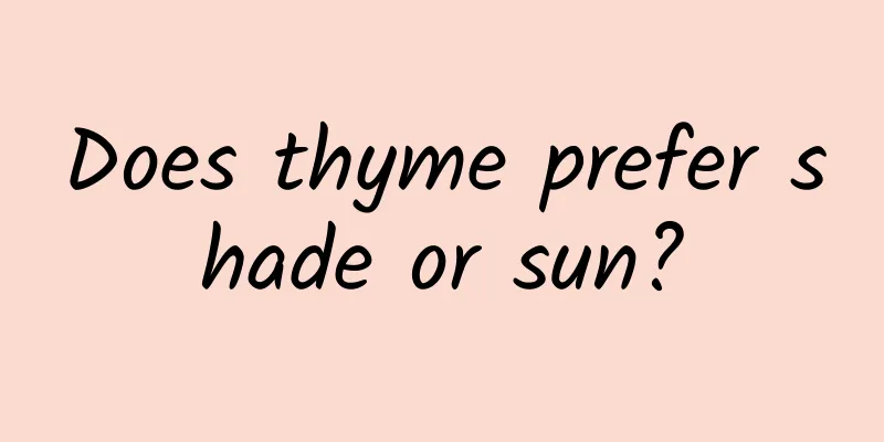 Does thyme prefer shade or sun?