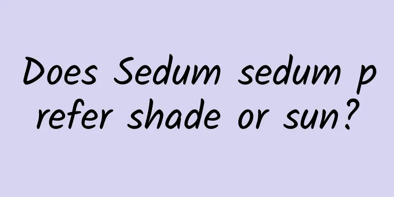 Does Sedum sedum prefer shade or sun?