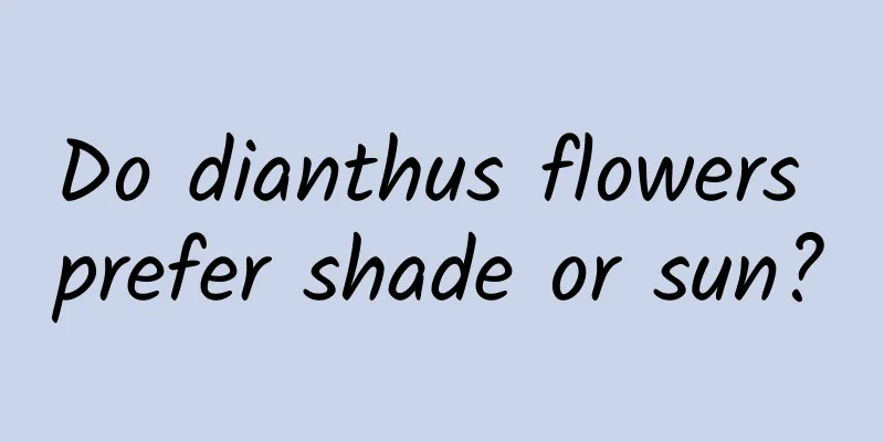 Do dianthus flowers prefer shade or sun?